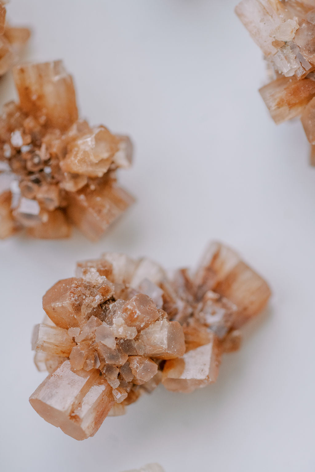 Aragonite 'Patience, Please' Cluster