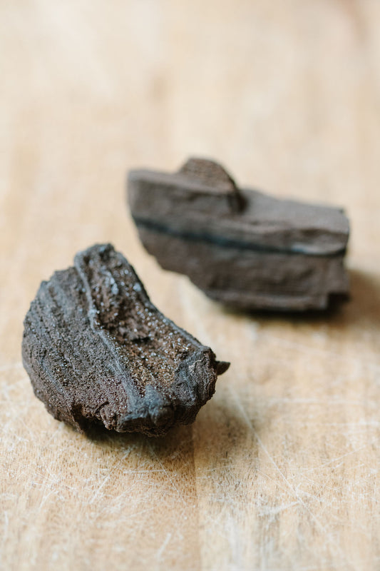 Conifer 'Timeless Roots' Sparkling Wood