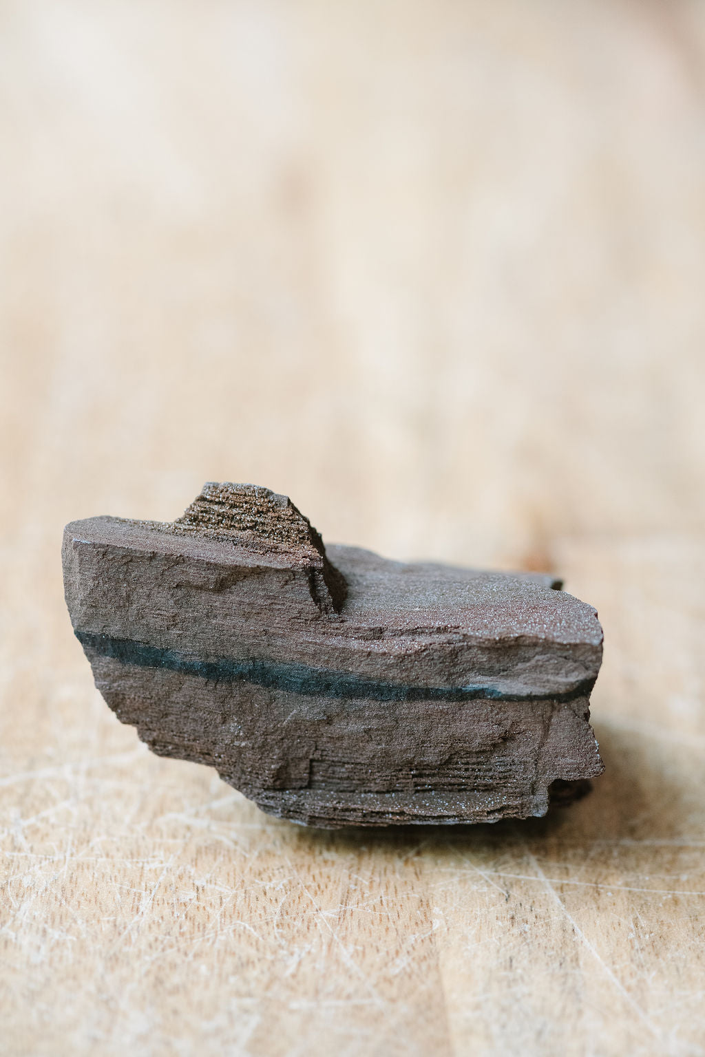 Conifer 'Timeless Roots' Sparkling Wood