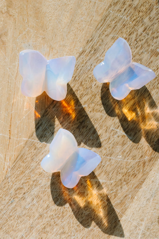 Angel Aura 'Watch Me' Butterflies