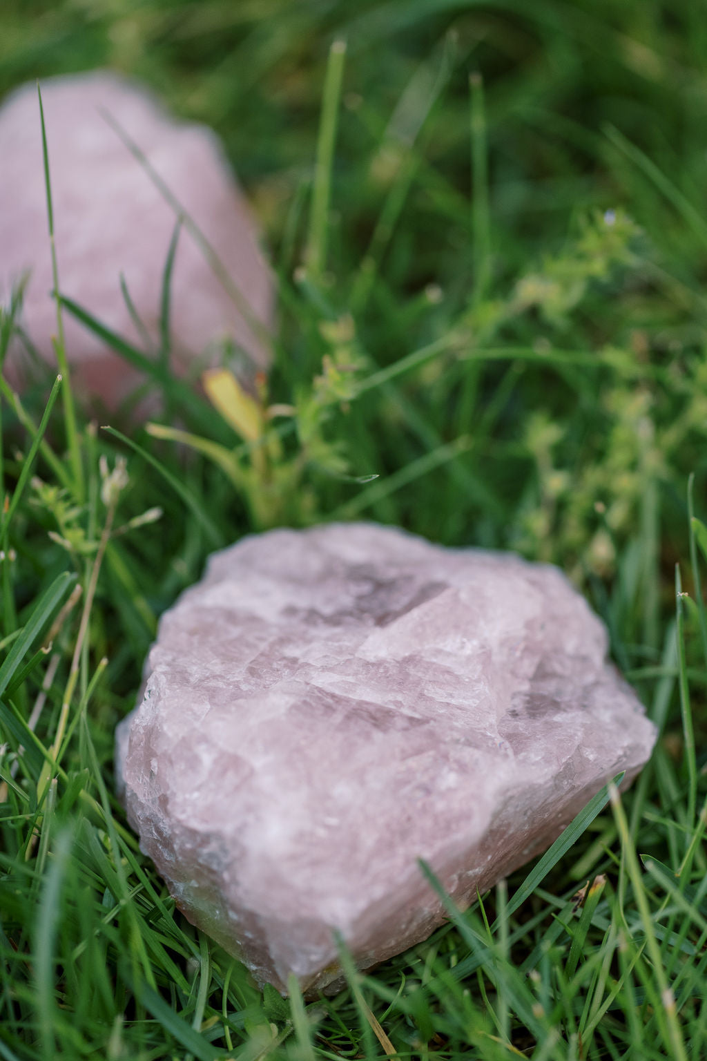 Rose Quartz 'Love Internally' Cluster