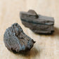 Conifer 'Timeless Roots' Sparkling Wood