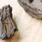 Conifer 'Timeless Roots' Sparkling Wood