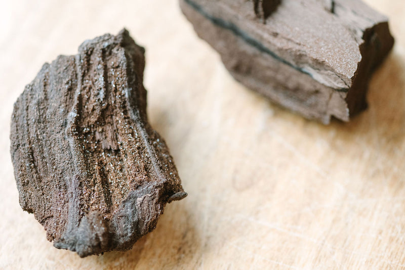Conifer 'Timeless Roots' Sparkling Wood
