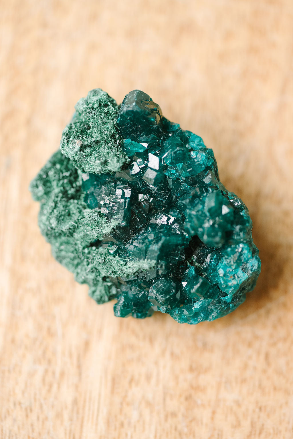 Dioptase 'Time To Forgive' Cluster