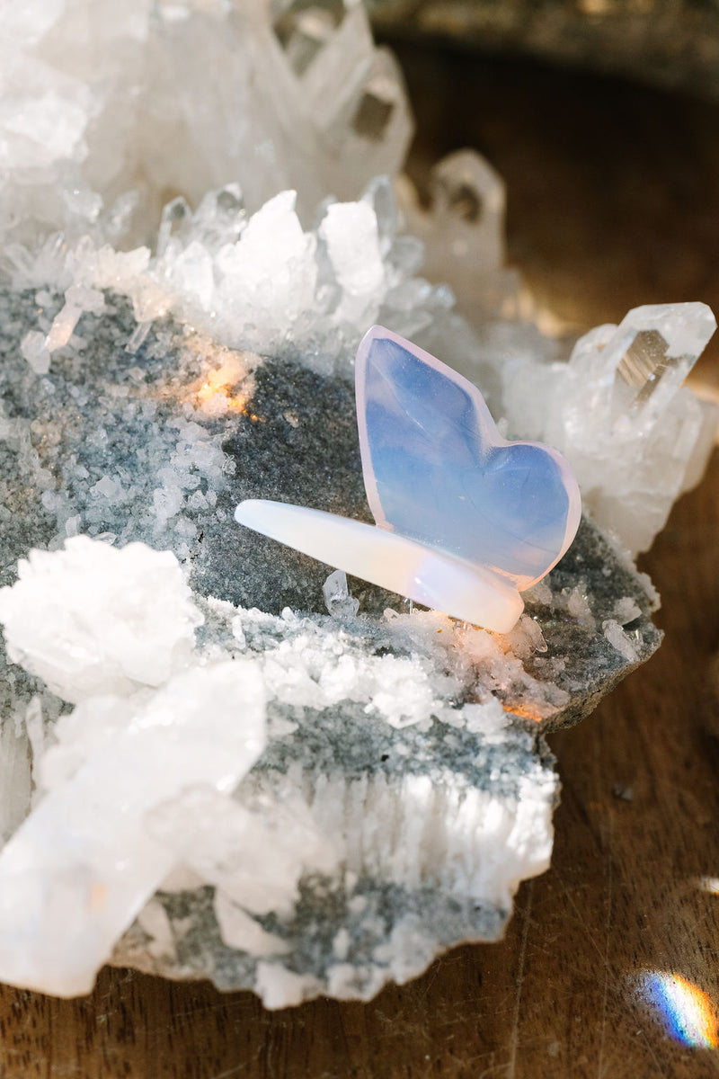 Angel Aura 'Watch Me' Butterflies