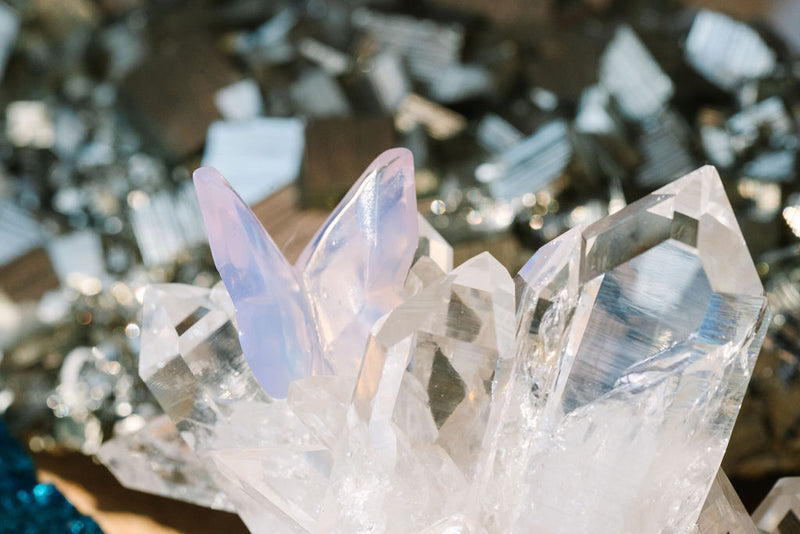 Angel Aura 'Watch Me' Butterflies