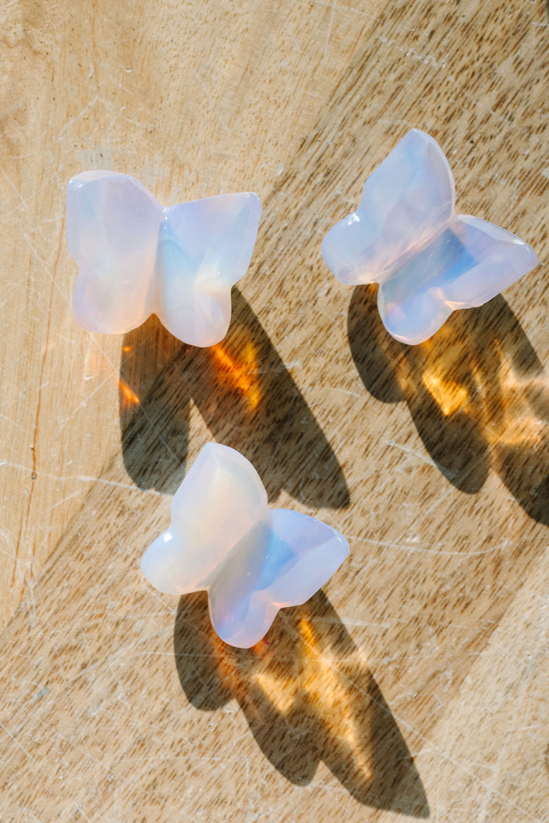 Angel Aura 'Watch Me' Butterflies