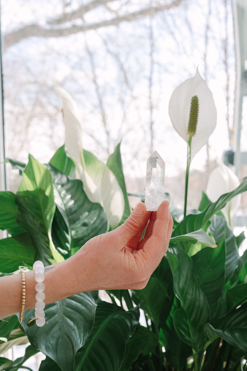 'The Time is Now' Lemurian Point