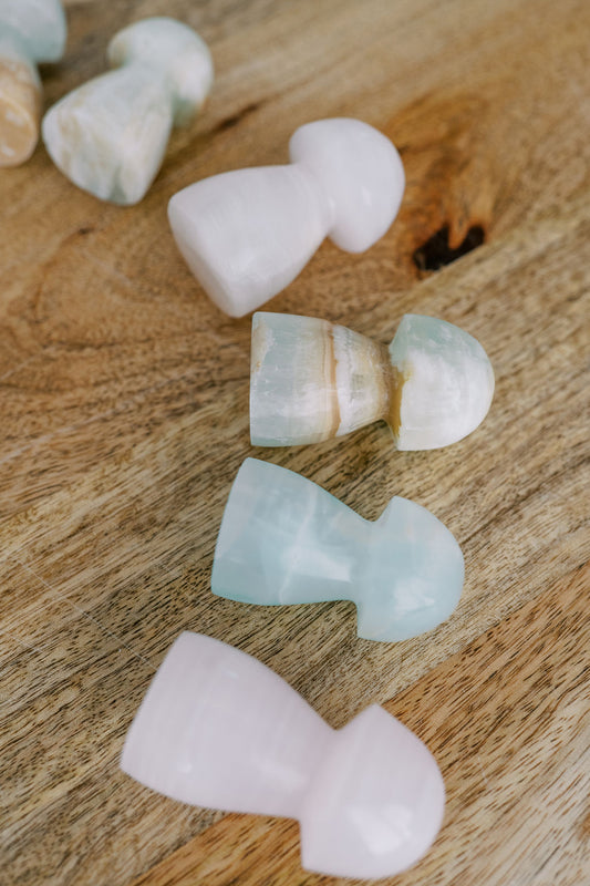 Caribbean Calcite Mushroom
