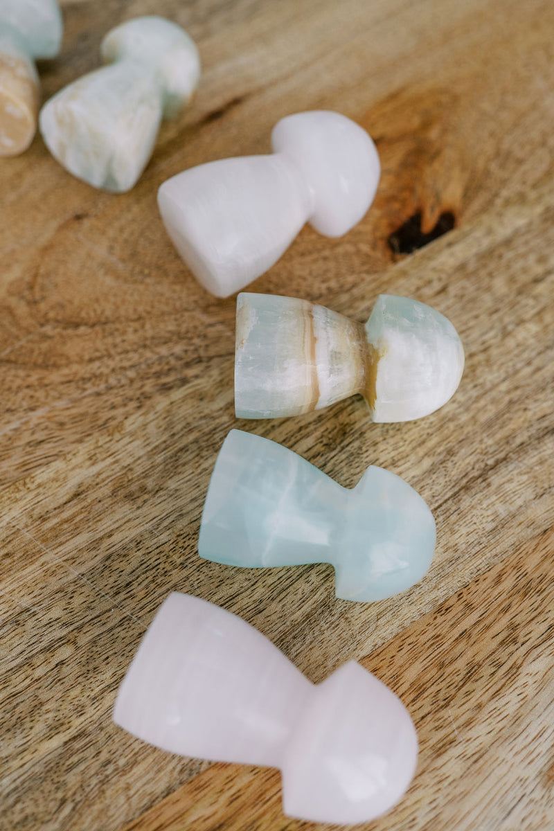Caribbean Calcite Mushroom