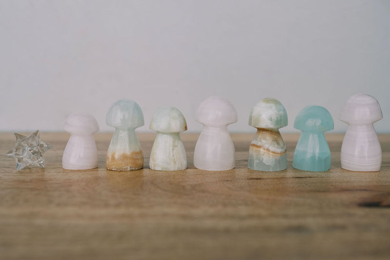 Caribbean Calcite Mushroom