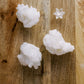 White Aragonite
